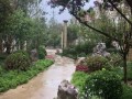 衡水文轩花园·澜棠